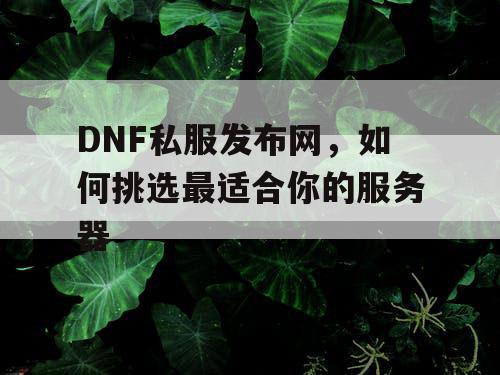 DNF私服发布网，如何挑选最适合你的服务器