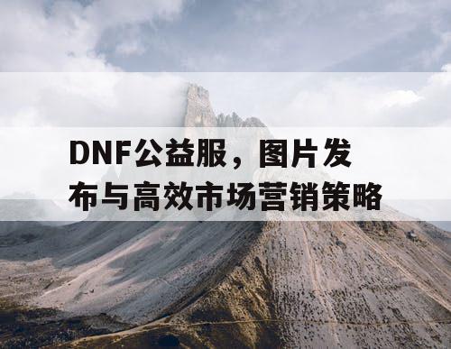 DNF公益服	，图片发布与高效市场营销策略