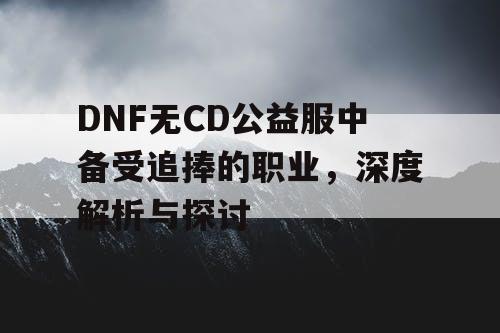 DNF无CD公益服中备受追捧的职业，深度解析与探讨