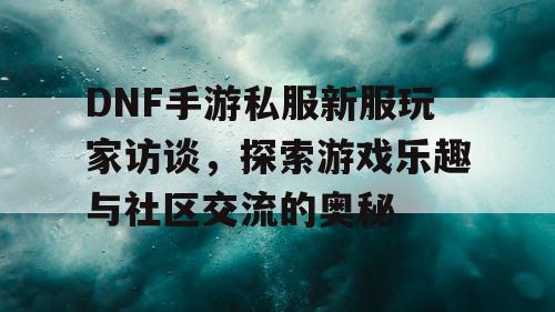 DNF手游私服新服玩家访谈，探索游戏乐趣与社区交流的奥秘