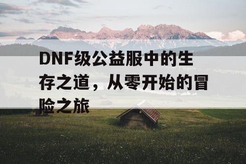 DNF级公益服中的生存之道，从零开始的冒险之旅