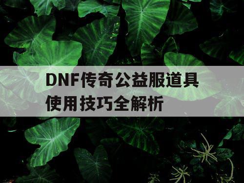 DNF传奇公益服道具使用技巧全解析