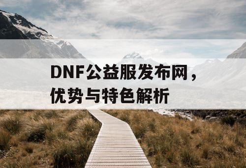 DNF公益服发布网	，优势与特色解析