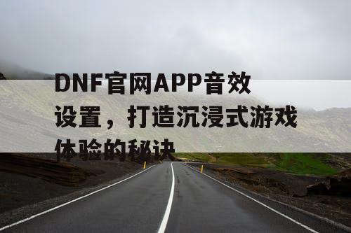 DNF官网APP音效设置	，打造沉浸式游戏体验的秘诀