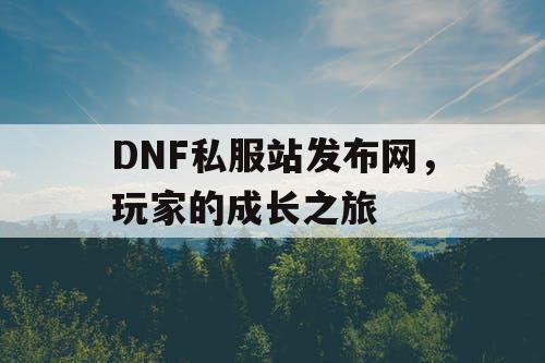 DNF私服站发布网，玩家的成长之旅