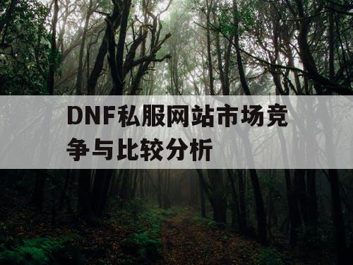 DNF私服网站市场竞争与比较分析