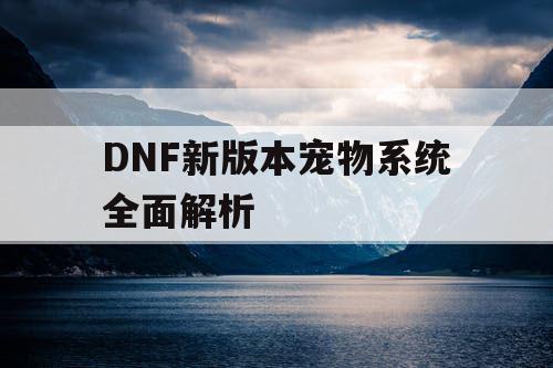 DNF新版本宠物系统全面解析