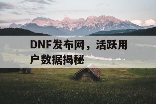 DNF发布网，活跃用户数据揭秘