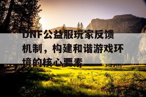 DNF公益服玩家反馈机制，构建和谐游戏环境的核心要素