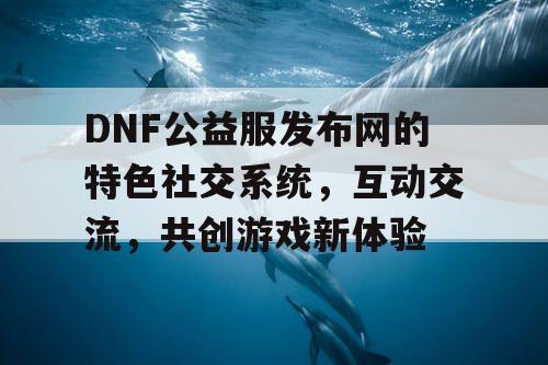 DNF公益服发布网的特色社交系统	，互动交流，共创游戏新体验