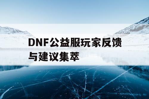 DNF公益服玩家反馈与建议集萃