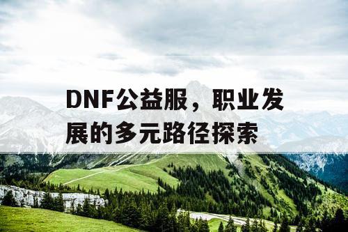 DNF公益服，职业发展的多元路径探索