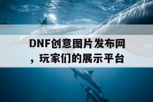 DNF创意图片发布网，玩家们的展示平台