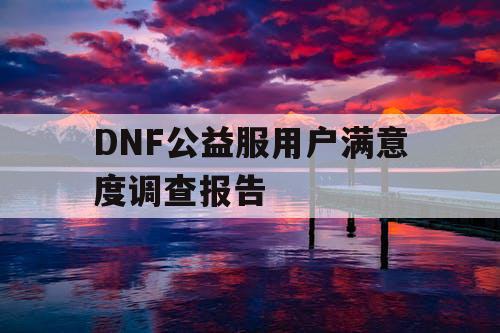 DNF公益服用户满意度调查报告