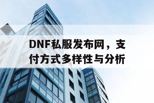 DNF私服发布网，支付方式多样性与分析