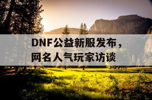 DNF公益新服发布	，网名人气玩家访谈