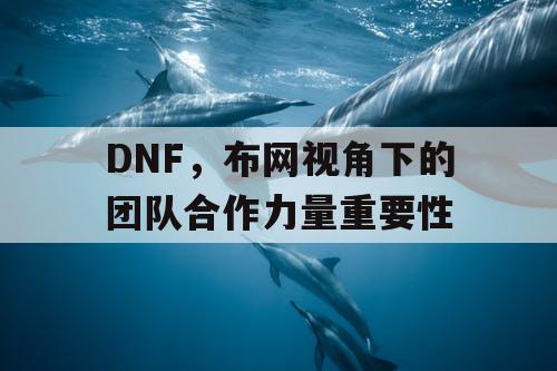 DNF，布网视角下的团队合作力量重要性