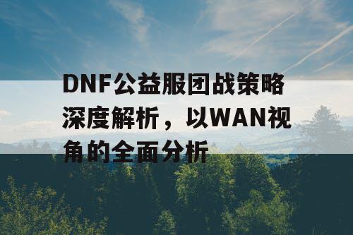 DNF公益服团战策略深度解析，以WAN视角的全面分析