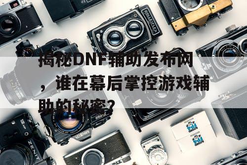 揭秘DNF辅助发布网，谁在幕后掌控游戏辅助的秘密？