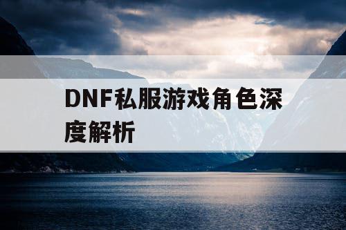 DNF私服游戏角色深度解析