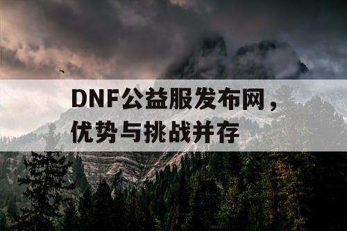 DNF公益服发布网	，优势与挑战并存