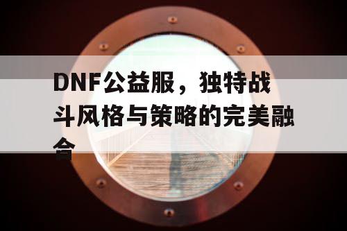 DNF公益服	，独特战斗风格与策略的完美融合