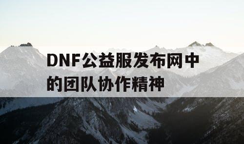 DNF公益服发布网中的团队协作精神