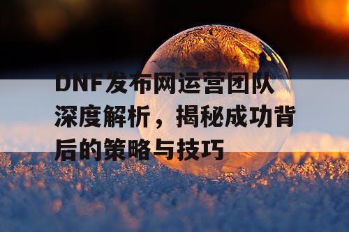 DNF发布网运营团队深度解析，揭秘成功背后的策略与技巧