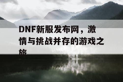 DNF新服发布网，激情与挑战并存的游戏之旅