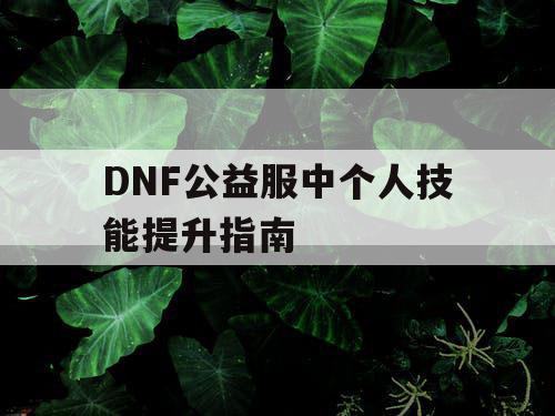 DNF公益服中个人技能提升指南