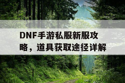 DNF手游私服新服攻略	，道具获取途径详解