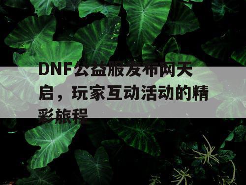 DNF公益服发布网天启，玩家互动活动的精彩旅程