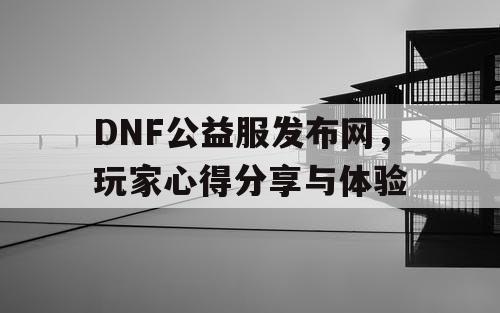 DNF公益服发布网，玩家心得分享与体验