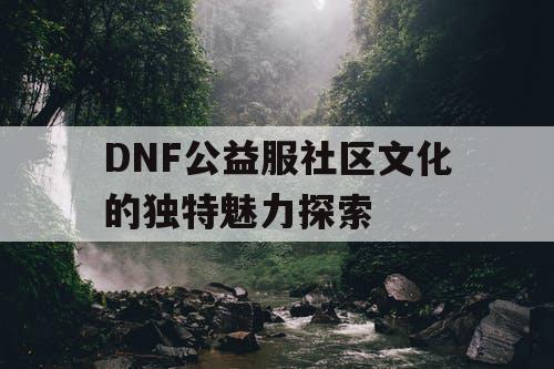 DNF公益服社区文化的独特魅力探索