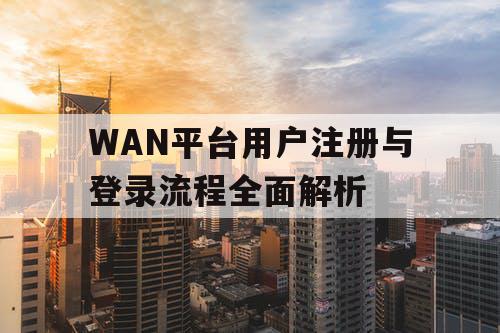 WAN平台用户注册与登录流程全面解析