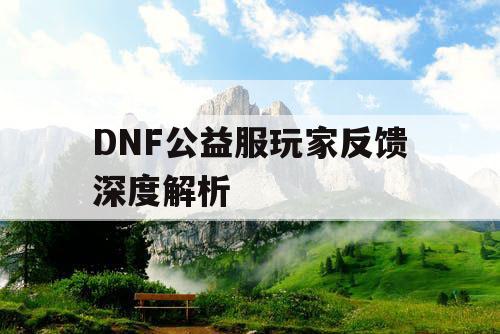 DNF公益服玩家反馈深度解析