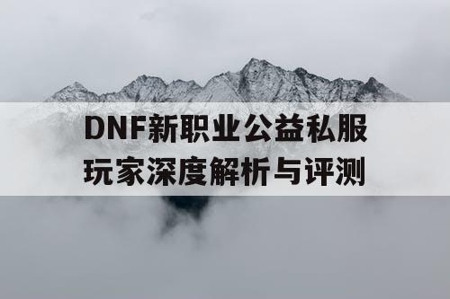 DNF新职业公益私服玩家深度解析与评测