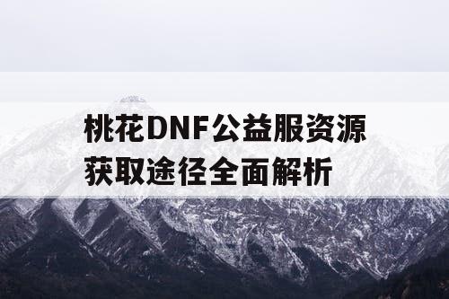 桃花DNF公益服资源获取途径全面解析