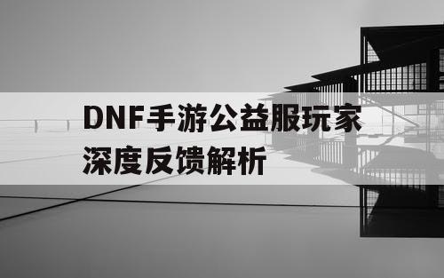 DNF手游公益服玩家深度反馈解析