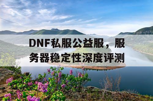 DNF私服公益服，服务器稳定性深度评测