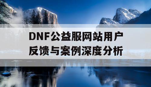 DNF公益服网站用户反馈与案例深度分析