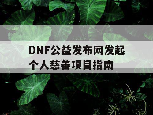 DNF公益发布网发起个人慈善项目指南