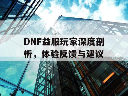 DNF益服玩家深度剖析，体验反馈与建议