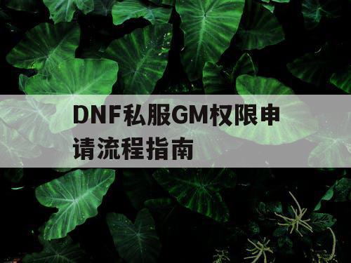 DNF私服GM权限申请流程指南