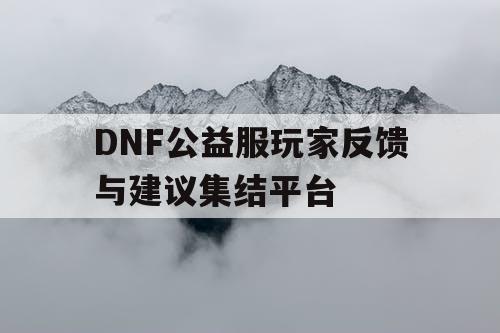 DNF公益服玩家反馈与建议集结平台