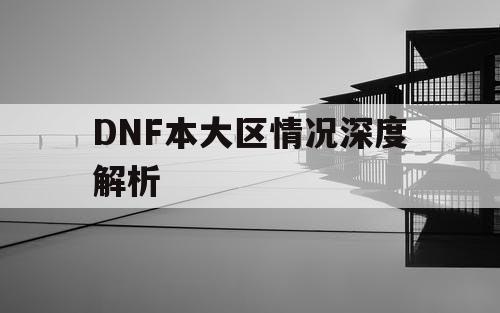 DNF本大区情况深度解析