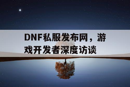 DNF私服发布网，游戏开发者深度访谈