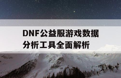 DNF公益服游戏数据分析工具全面解析