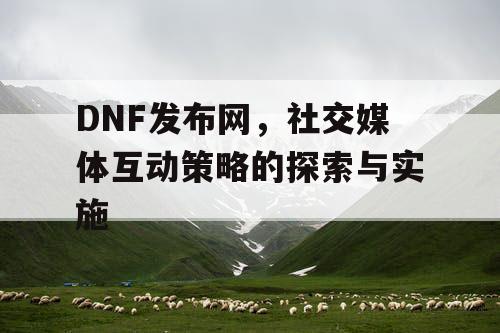 DNF发布网	，社交媒体互动策略的探索与实施