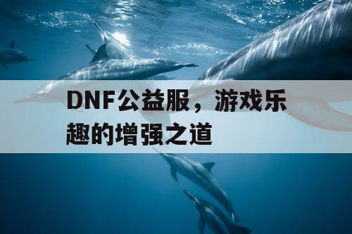 DNF公益服，游戏乐趣的增强之道